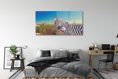 Billede glas Zebra blomster