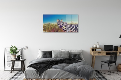 Billede glas Zebra blomster