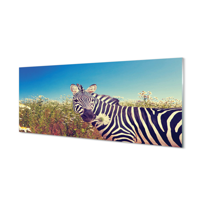 Billede glas Zebra blomster