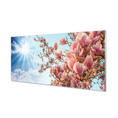 Glas billede Magnolia sky sun