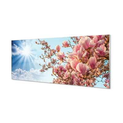 Glas billede Magnolia sky sun