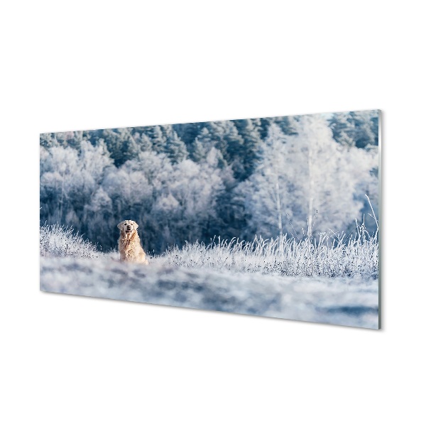 Billede glas Hund bjerge vinter