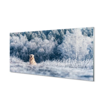 Billede glas Hund bjerge vinter