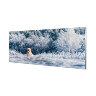 Billede glas Hund bjerge vinter