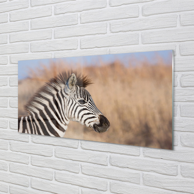 Glasbillede Zebra