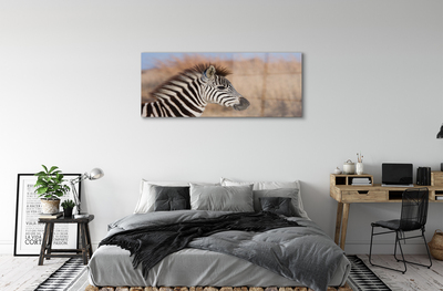 Glasbillede Zebra