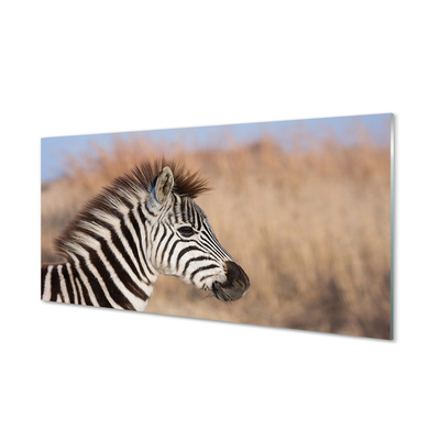 Glasbillede Zebra