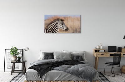 Glasbillede Zebra