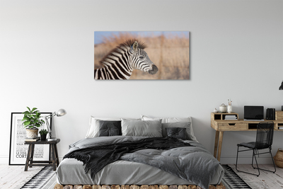 Glasbillede Zebra