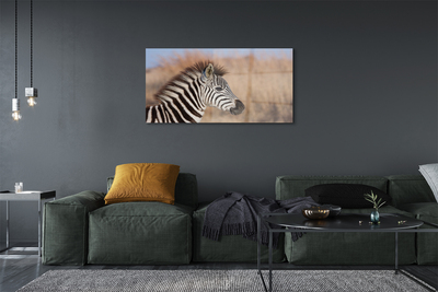 Glasbillede Zebra