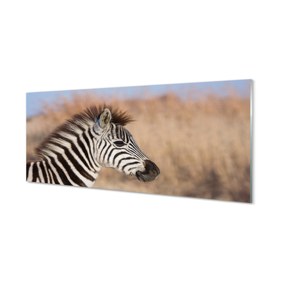 Glasbillede Zebra