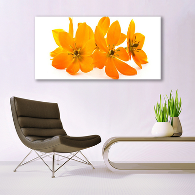 Billede i glas Orange blomst Plante