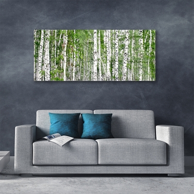 Glasbillede Birch Forest Trees Nature