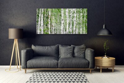 Glasbillede Birch Forest Trees Nature