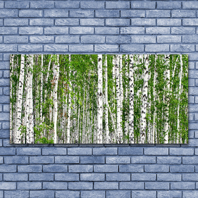 Glasbillede Birch Forest Trees Nature