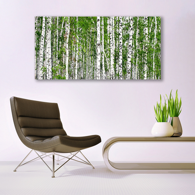 Glasbillede Birch Forest Trees Nature