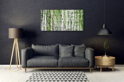 Glasbillede Birch Forest Trees Nature