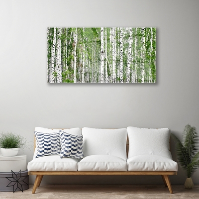 Glasbillede Birch Forest Trees Nature