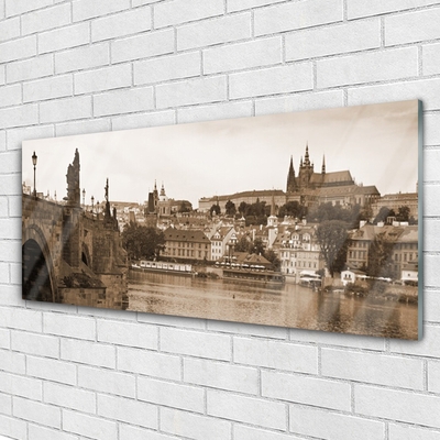 Billede i glas Prag Bridge Landscape