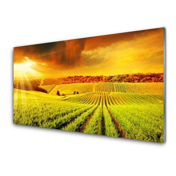 Billede glas Field Sunset Landscape