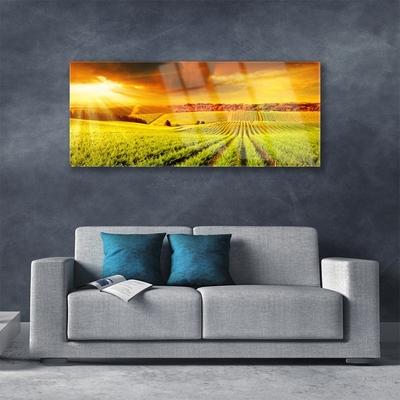 Billede glas Field Sunset Landscape