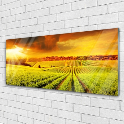 Billede glas Field Sunset Landscape