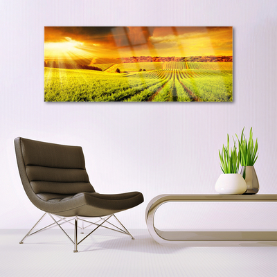 Billede glas Field Sunset Landscape