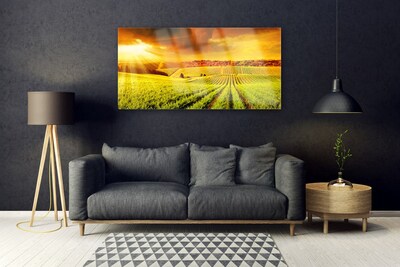 Billede glas Field Sunset Landscape