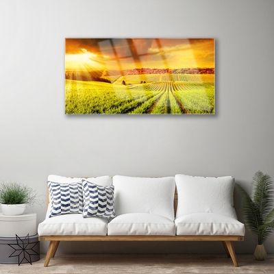 Billede glas Field Sunset Landscape