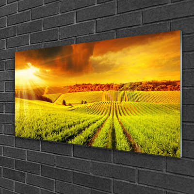 Billede glas Field Sunset Landscape