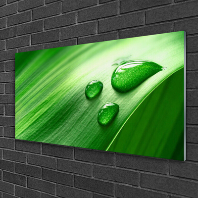 Glasfoto Leaf Water Drops