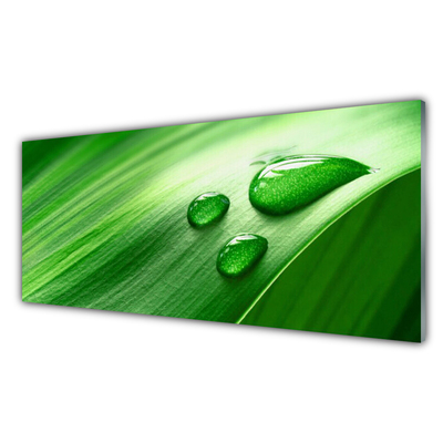 Glasfoto Leaf Water Drops