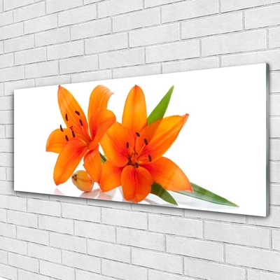 Glasbillede Orange Flower Plant