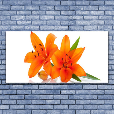 Glasbillede Orange Flower Plant