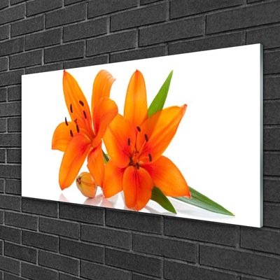 Glasbillede Orange Flower Plant