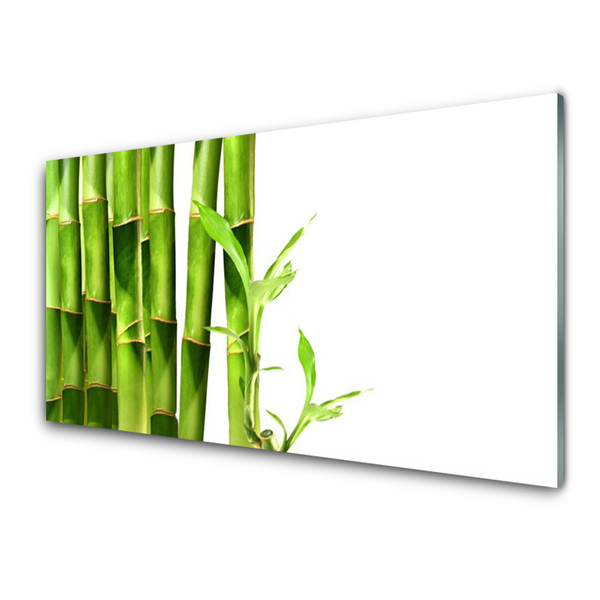 Billede i glas Bamboo Plant