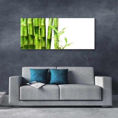 Billede i glas Bamboo Plant