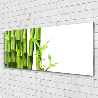 Billede i glas Bamboo Plant