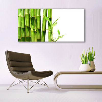 Billede i glas Bamboo Plant