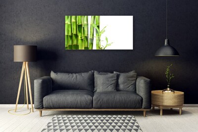 Billede i glas Bamboo Plant