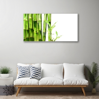 Billede i glas Bamboo Plant