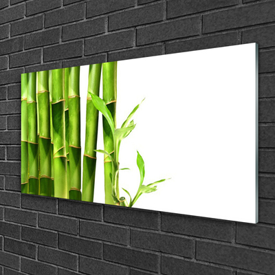 Billede i glas Bamboo Plant