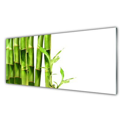 Billede i glas Bamboo Plant