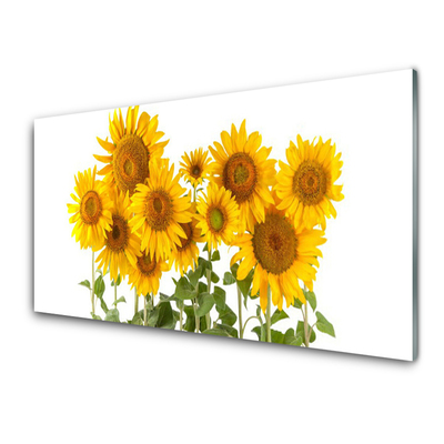 Glasfoto Plant Sunflowers