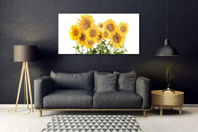 Glasfoto Plant Sunflowers