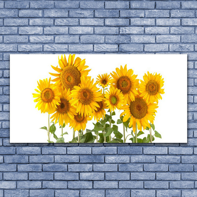 Glasfoto Plant Sunflowers