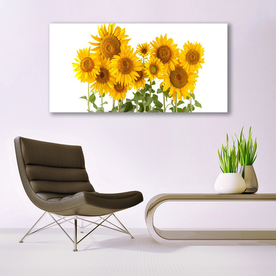 Glasfoto Plant Sunflowers