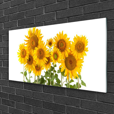 Glasfoto Plant Sunflowers