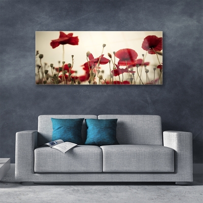 Glasbillede Poppy Flower