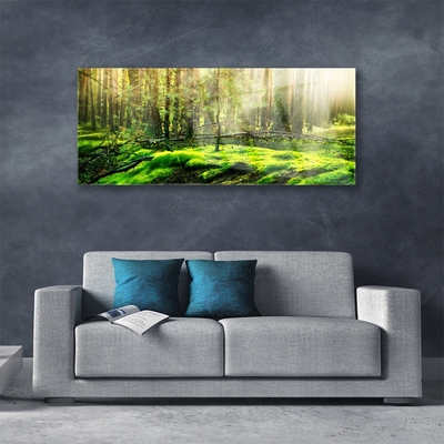 Glas billede Moss Forest Nature